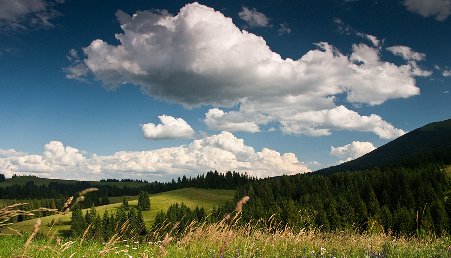 Alexey Bulash photography